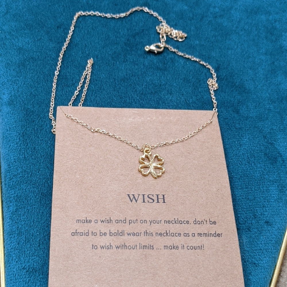 Wish Gold Dainty Necklace with Charm